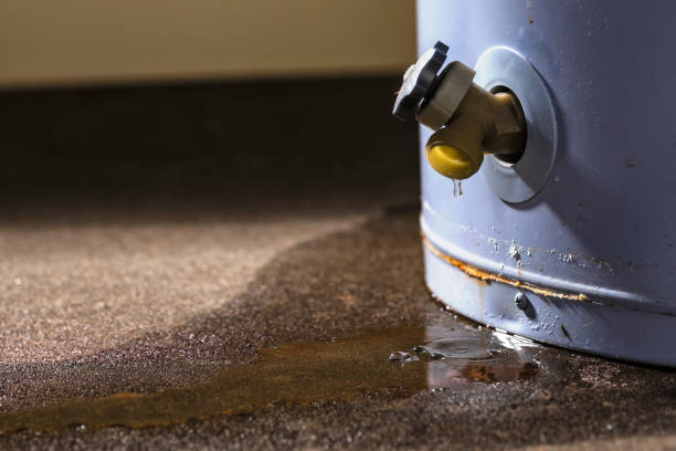 Best Commercial water damage restoration  in Lake Ripley, WI