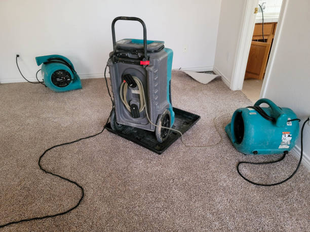 Best Emergency water damage restoration  in Lake Ripley, WI