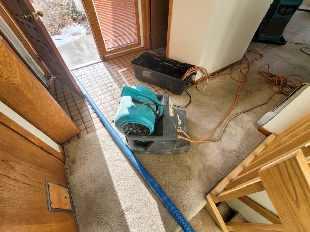 Best Flood damage cleanup  in Lake Ripley, WI