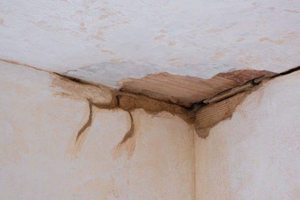 Best Carpet water damage restoration  in Lake Ripley, WI