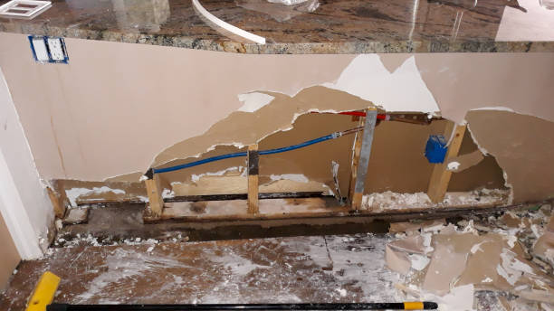 Best Basement water damage restoration  in Lake Ripley, WI
