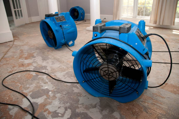 Water damage restoration process in WI