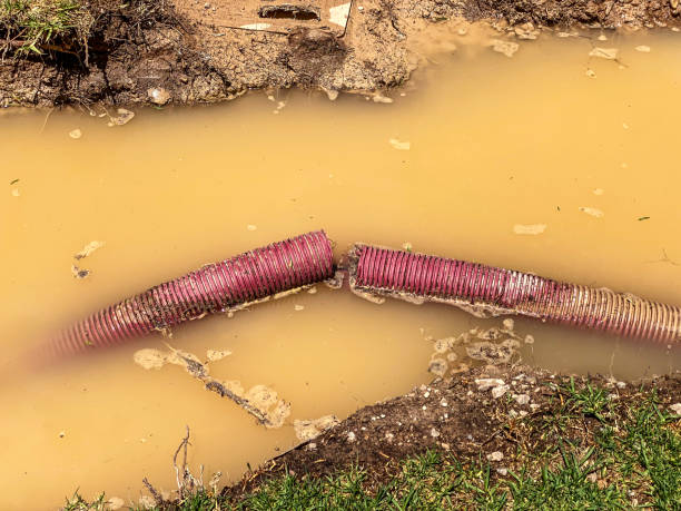Best 24/7 water damage repair  in Lake Ripley, WI
